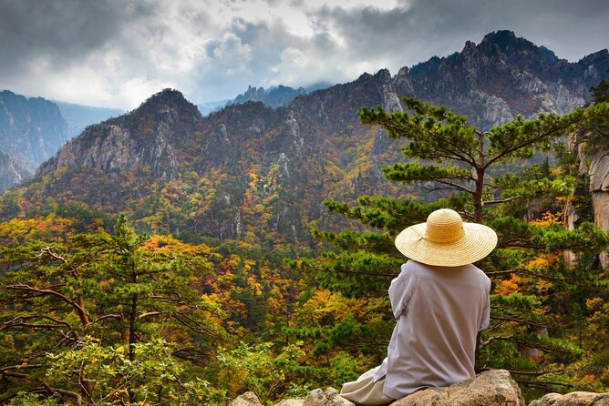 5-Day Korea Golden route by K-shuttle Tour from Seoul Including Busan, Yeosu - Key points before you go
