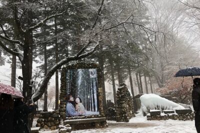 Alpaca, Nami, Eobi with Rail Bike or Strawberry - Your route: how the day flows from Seoul to Alpaca World, Nami, and Eobi
