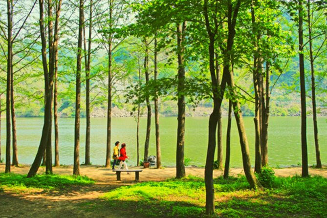 Alpaca World and Nami Island with Gangchon Rail Bike Tour - A Three-Stop Seoul Day That Actually Moves