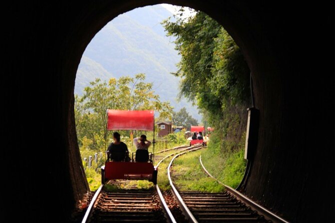 Alpaca World and Nami Island with Gangchon Rail Bike Tour - Alpaca World: Fluffy Encounters and a Real Animal-Farm Feel