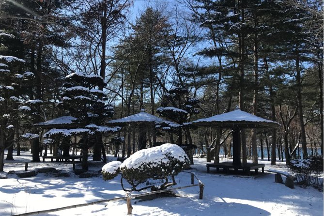 Alpaca World & Nami Island & Garden of Morning Calm One Day Tour - Stop 3: Garden of Morning Calm for a calmer final hour (the good kind)
