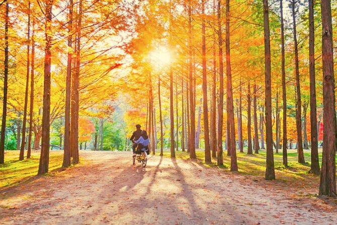 Alpaca World & Nami Island & Garden of Morning Calm One Day Tour - Guide impact: from keeping time to helping you enjoy the ride