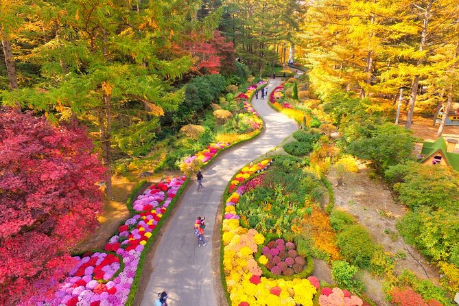 Alpaca World Tour with Nami Island (optional Railbike or Garden) - Gangchon Rail Park railbike: the scenic ride and the share-vs-private decision