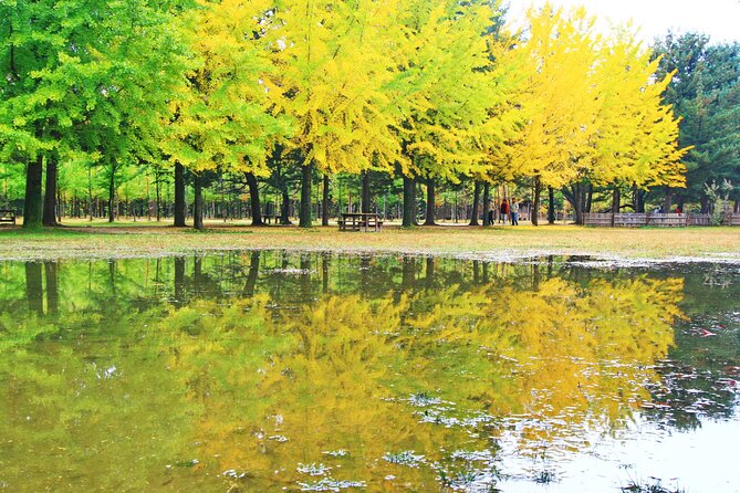 Alpaca World Tour with Nami Island (optional Railbike or Garden) - Timing and group size: what a 12–13 hour day feels like from Seoul