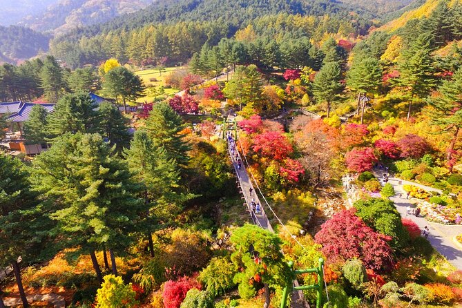Alpaca World Tour with Nami Island (optional Railbike or Garden) - Price and value: how $66.67 stacks up for a ticketed Seoul day