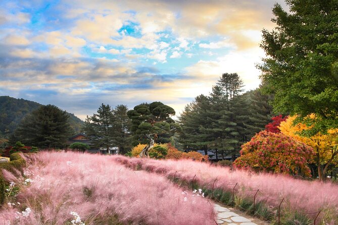 Alpaca World Tour with Nami Island (optional Railbike or Garden) - Smart packing and small choices that save time