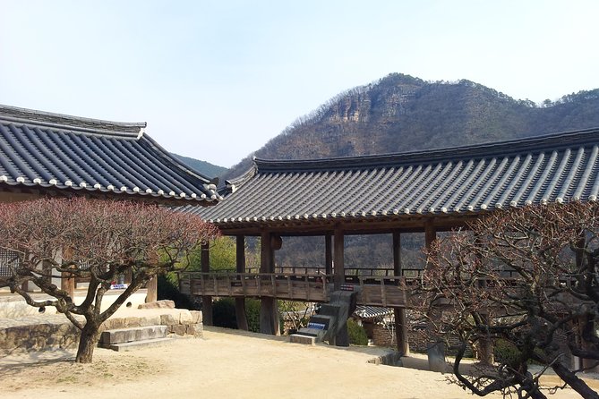 Andong Hahoe Village [UNESCO site] Premium Private Tour from Seoul - Entering Andong Hahoe Folk Village: walking through traditional Korean daily life