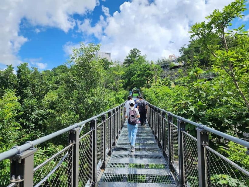 Closest Observatory to DMZ: North Korea View(Starbucks Tour) - Aegibong Peace Eco Park and Jogang Observatory: what makes this view different
