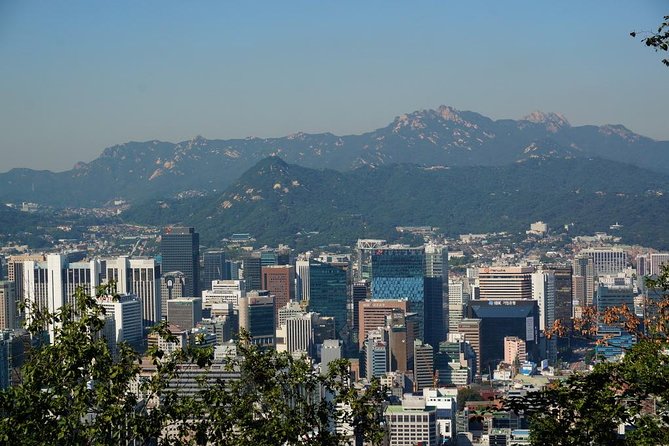 Customized Private Seoul tour: Palace, Market etc(Airport Option) - Your guide and customization: how to get the day you actually want