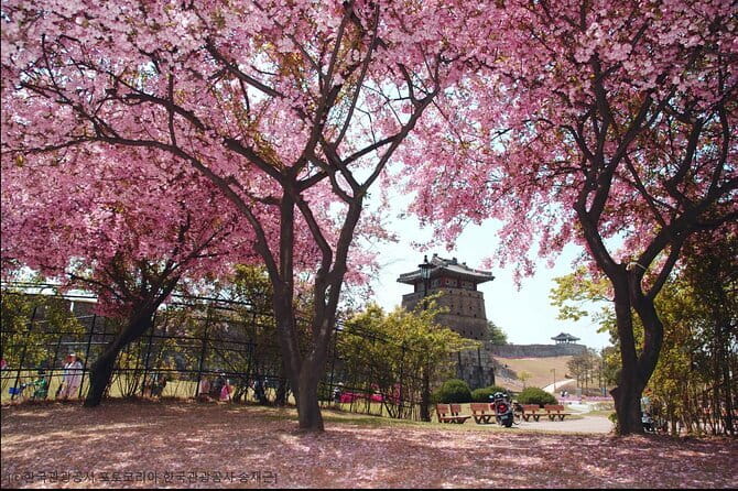 Day Tour of Suwon Hwaseong Fortress Starfield Waujeongsa Temple - Guide Energy: The Difference Between Seeing and Understanding