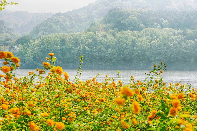 Day Trip to Nami Island with Rail bike and The Garden of Morning Calm - How the Long Day Flows (and How You Can Make It Feel Easy)