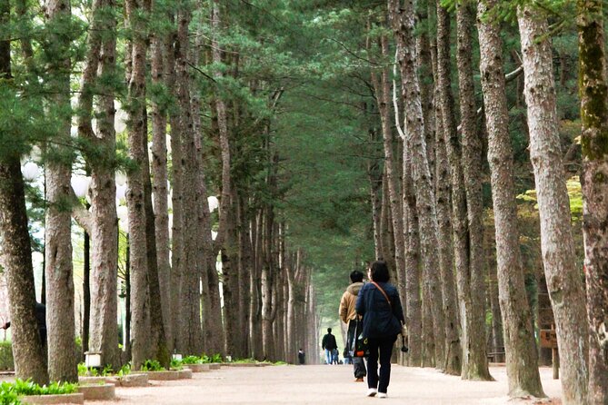 Day Trip to Nami Island with Rail bike and The Garden of Morning Calm - Nami Island Free Time: Trees, River Scenery, and Winter Sonata Memories