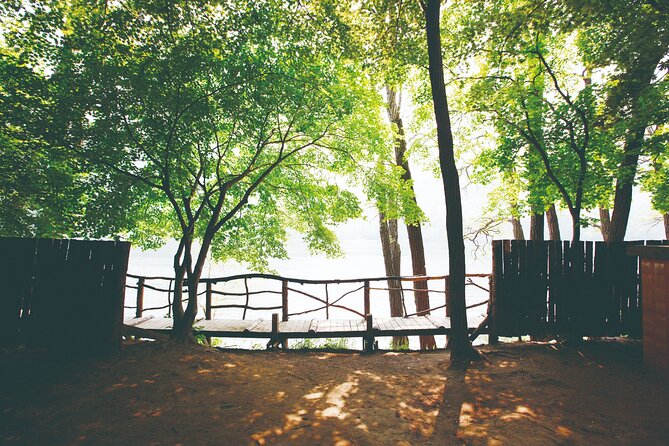 Day Trip to Nami Island with The Garden of Morning Calm - Seasonal extras: Light Festival timing and Eobi Ice Valley option