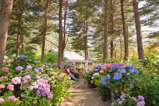 Day Trip to Nami Island with The Garden of Morning Calm - The guide experience: what helps (and why it matters)