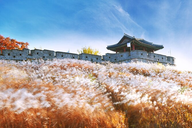 Day Trip to UNESCO: Suwon Fortress Adventure from Seoul - Getting to Myeong-dong and out again (without a travel headache)