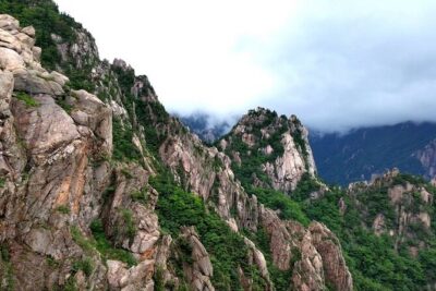 Discover Eastern Korea in 4days: All-Inclusive Experience - Day 1 in Busan: Jagalchi Market and the Songdo Sea Cable Car