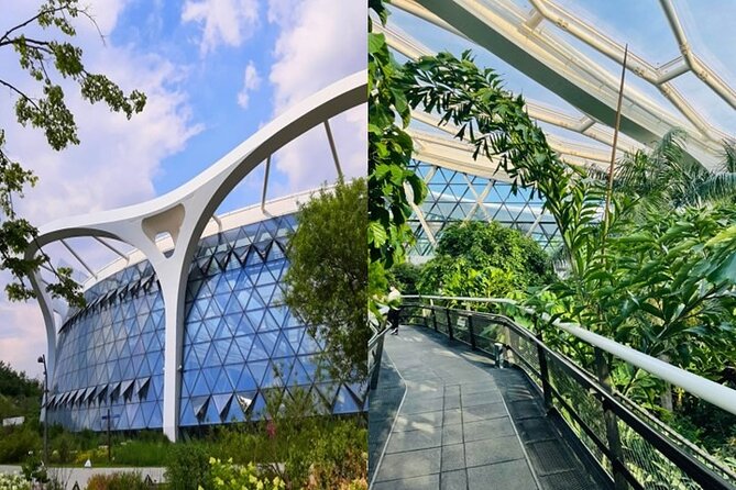 DIY Seoul Private Tour: Select 4 places you want to go - Shopping and street energy: Myeongdong and The Hyundai Seoul