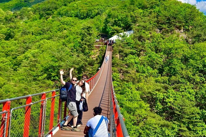 DMZ Guided Tour & Suspension Bridge / North Korean Defector - Imjingak Peace Park and the Defector Lecture: Why It Changes Everything