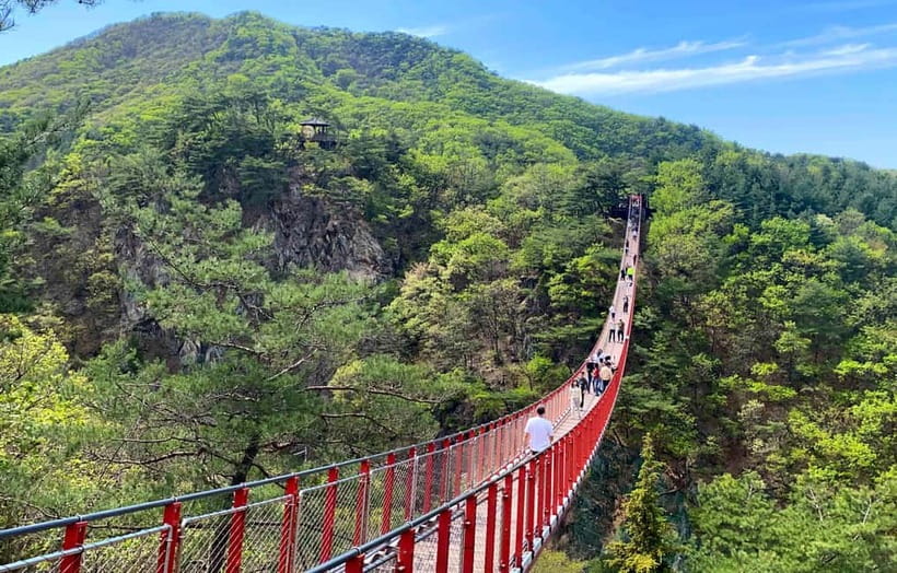 DMZ; NK Defector, 3rd Tunnel, Suspension Bridge,Hotel pickup - Key Things You’ll Remember