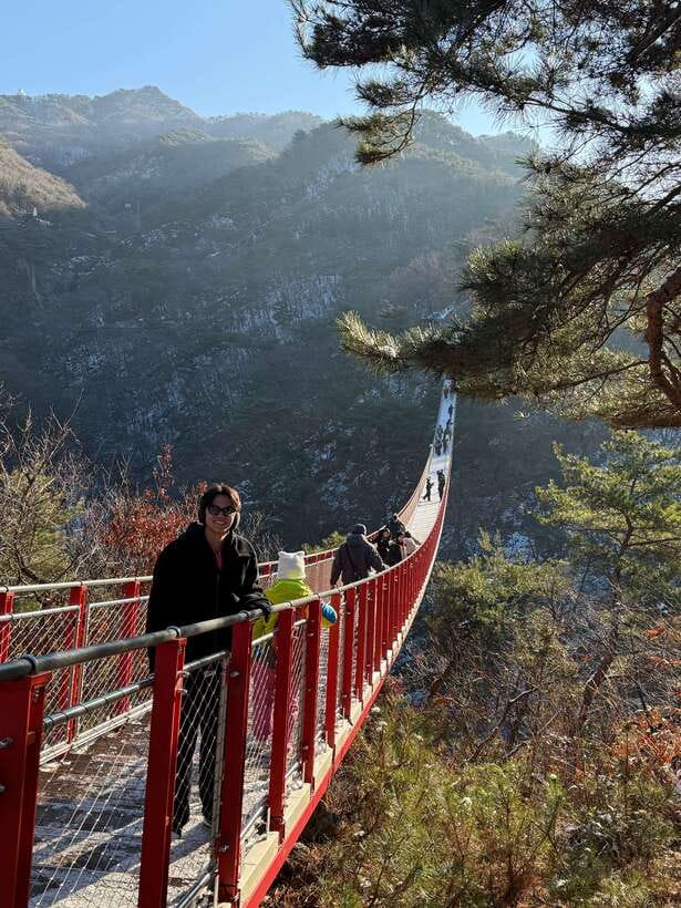 DMZ; NK Defector, 3rd Tunnel, Suspension Bridge,Hotel pickup - Tour Guides and Pace: Why People Keep Saying the Same Names