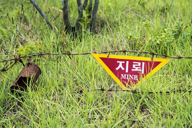 DMZ One Day Tour in Gyeonggi-do with English or Spanish - Dora Observatory on Dorasan (Mount Dora): Views Across the 38th Parallel