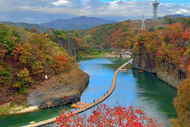 DMZ Tour, 2nd Tunnel & UNESCO Suspension Bridge Tour from Seoul - Who This Tour Fits Best (and Who Might Want a Different Plan)