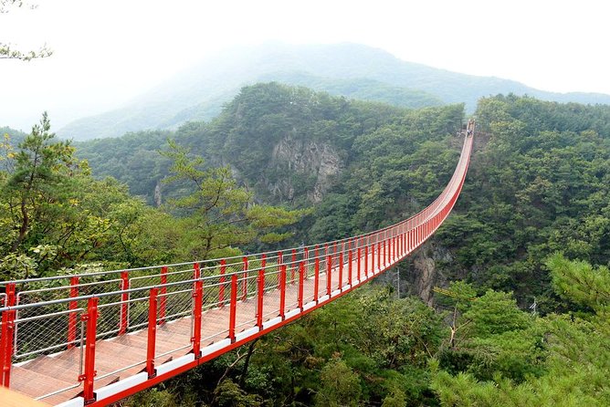 DMZ Tour: 3rd Tunnel, Option(Suspension Bridge, Boat) from Seoul - After Dora: choose your add-on bridge or the Imjin River boat