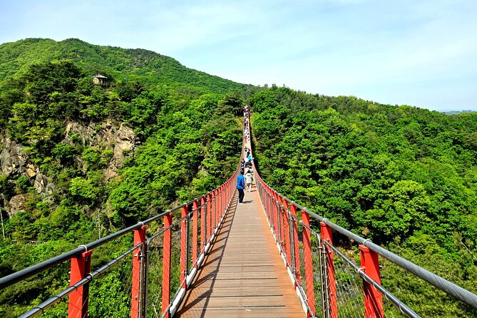 DMZ Tour from Seoul – Optional Suspension Bridge Experience - Why the DMZ Tour from Seoul feels more real than a textbook