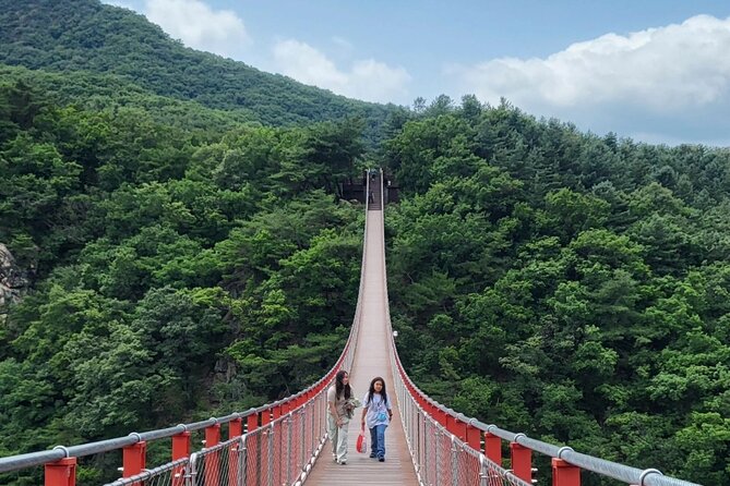 DMZ Tour Seoul to North Korea's 3rd Tunnel & Majang Lake Crossing - Crossing the civilian control line: the Unification Bridge checkpoint moment