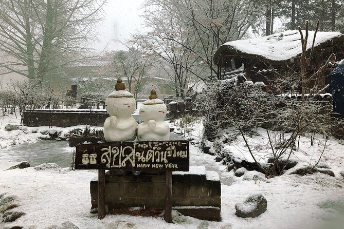 Eobi Ice Valley / Elysian Ski Resort / Nami Island - Eobi Ice Valley: Frozen Views, Photo Time, and the Backup Plan