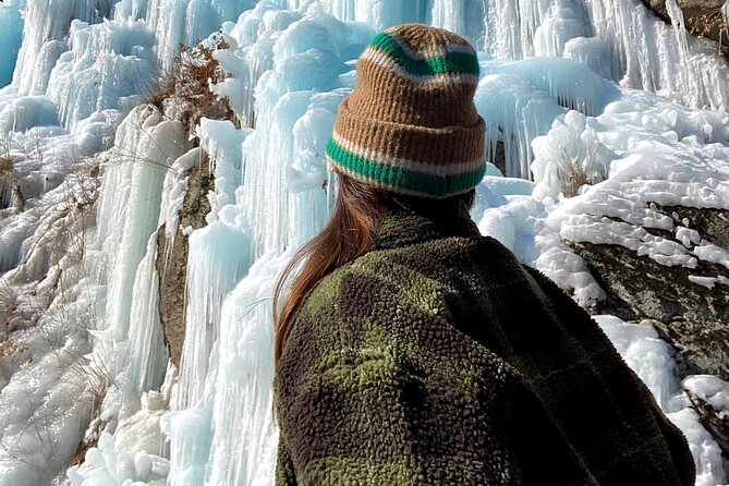 Eobi Ice Wall & Nami Island & Morning Calm Light Festival - Getting the Guide Right: When Sky, Kathy, or Jun Makes the Day