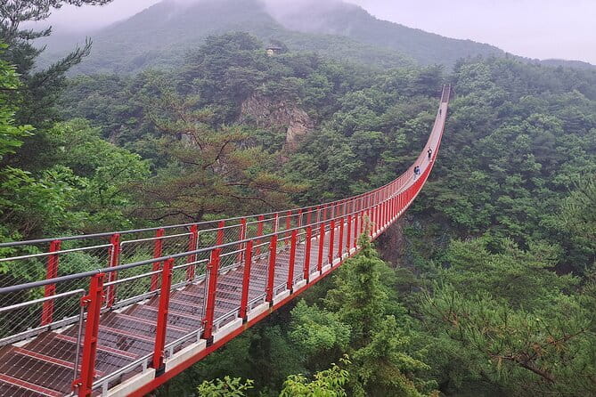 Explore DMZ from Seoul +(optional) Gondola/Red Suspension Bridge - Key Points You Should Know Before You Go