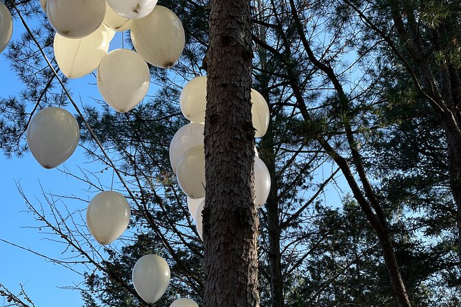 Four Seasons of Nami Island with Garden of Morning Calm Tour - Petit France and the short ginseng stop: filling time without wasting it