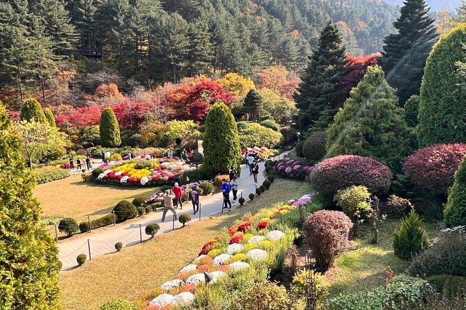 Four Seasons of Nami Island with Garden of Morning Calm Tour - Guides like Juno, Alice, and Kim: the difference between a trip and an outing