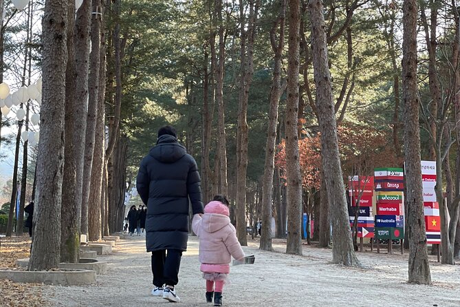 Four Seasons of Nami Island with Garden of Morning Calm Tour - Price and logistics: what $88 gets you (and what to double-check)