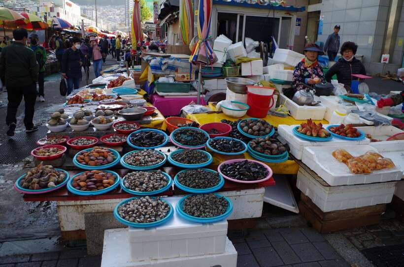 From Seoul: 5-Day Tour of Korea with UNESCO Sites - Day 1: Gongju UNESCO tombs and Gongsanseong fortress, then Jeonju Hanok-area nights
