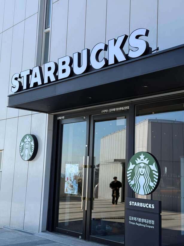 From Seoul: Aegibong Starbucks Observatory & DMZ View - Aegibong Peace Eco Park: walkways, bridges, and the pace you want