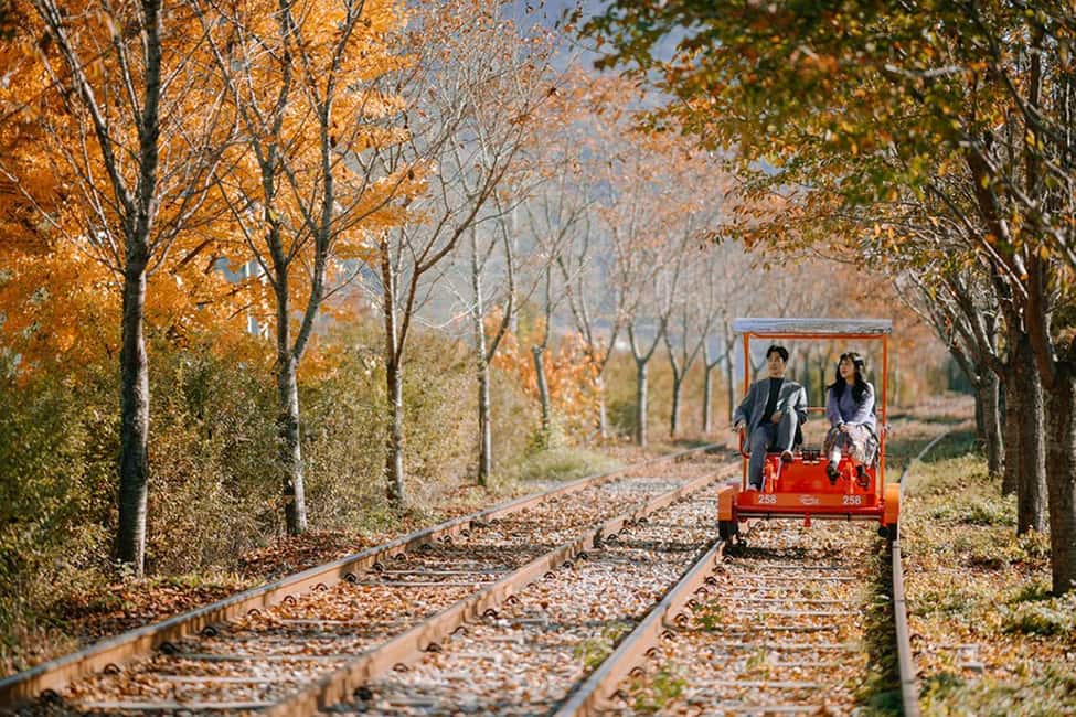 From Seoul: Nami Island, K-drama Garden & Rail Bike Day Tour - Key highlights you will feel right away