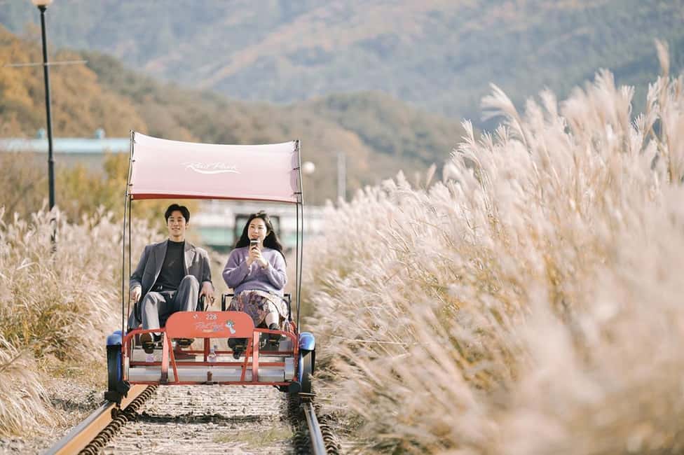 From Seoul: Nami Island, K-drama Garden & Rail Bike Day Tour - Nami Island: the K-drama postcard, but still good for walking