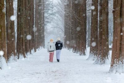 From Seoul: Nami Island, K-drama Garden & Rail Bike Day Tour - Garden of Morning Calm: seasonal strolls plus winter lights
