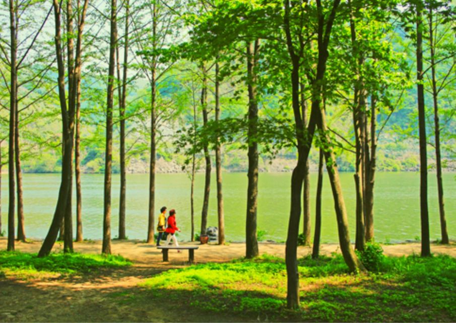 From Seoul: Nami Island, K-drama Garden & Rail Bike Day Tour - Price and value: what $61 really covers