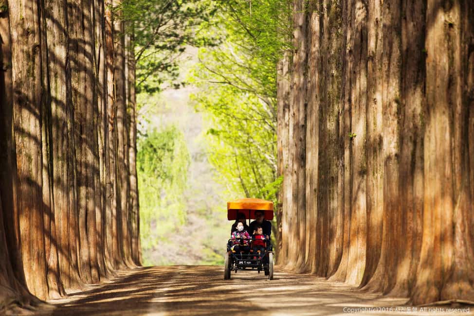 From Seoul: Nami Island, K-drama Garden & Rail Bike Day Tour - Guides and drivers: what makes the day feel easy