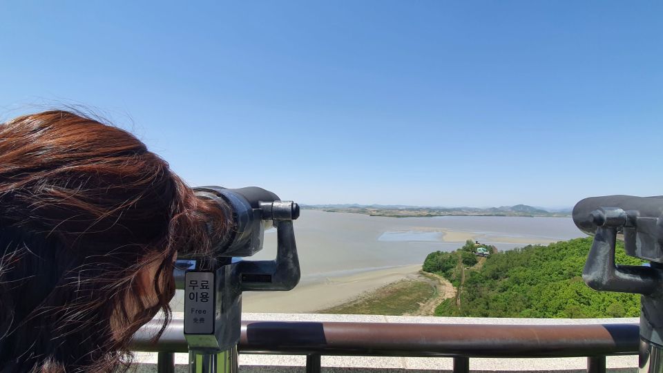 From Seoul: Private DMZ and Odusan Observatory Full-Day Tour - Key highlights you’ll feel right away