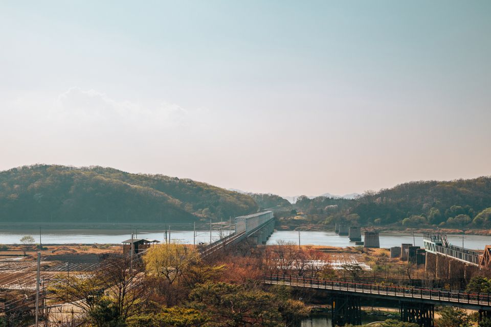 From Seoul: Private DMZ and Odusan Observatory Full-Day Tour - Guide quality is the real multiplier on this tour