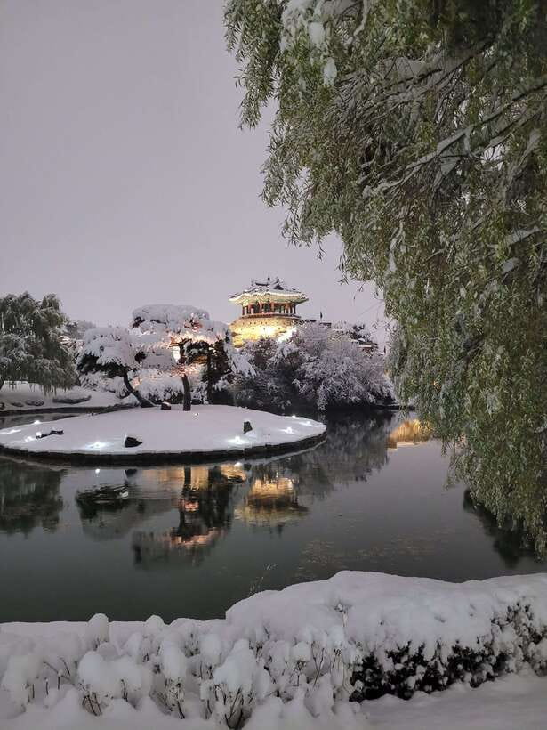 From Seoul: Suwon Hwaseong Fortress Night Tour - Why Suwon Hwaseong Fortress feels special at night