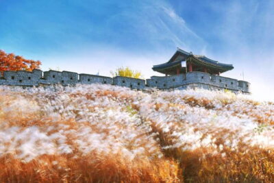 From Seoul: Suwon Hwaseong Fortress Tour - Hwaseong Haenggung: where the king paused on the road