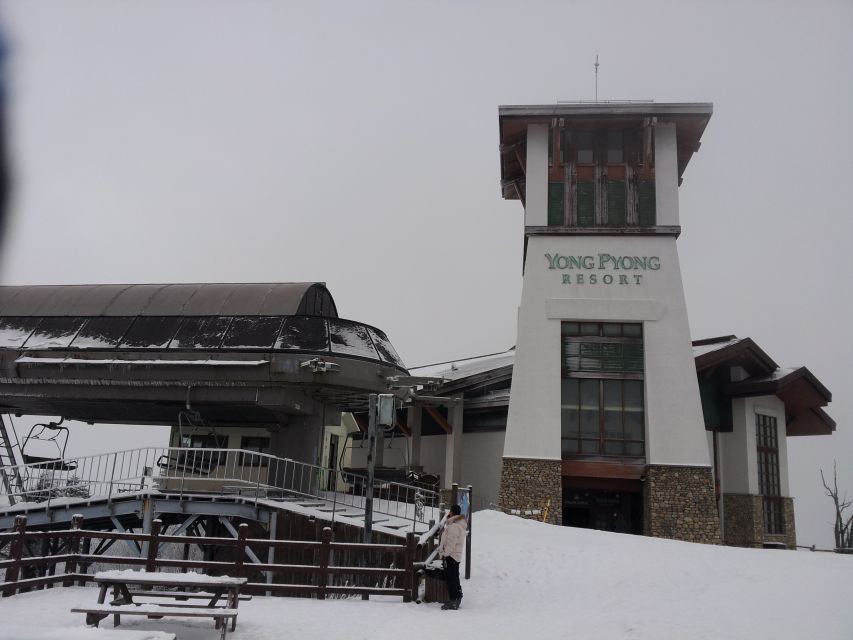 From Seoul: Yongpyong Ski Day Tour with Transportation - Key things to know before you go