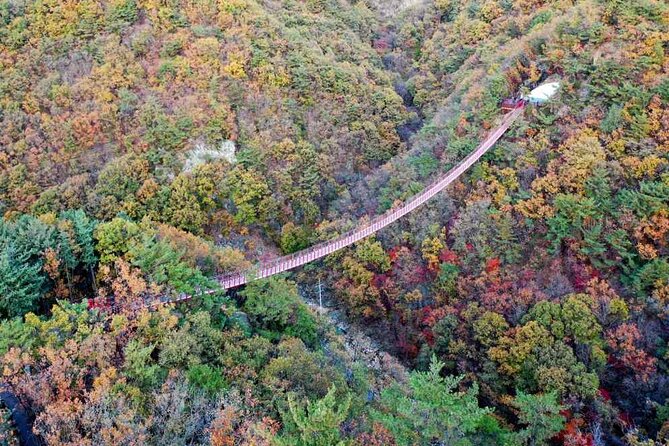 Full Day Private Tour DMZ (The 3rd Tunnel) & Suspension Bridge - Tongilchon-gil (Unification Village): Civilian Life Inside the Off-Limits Area