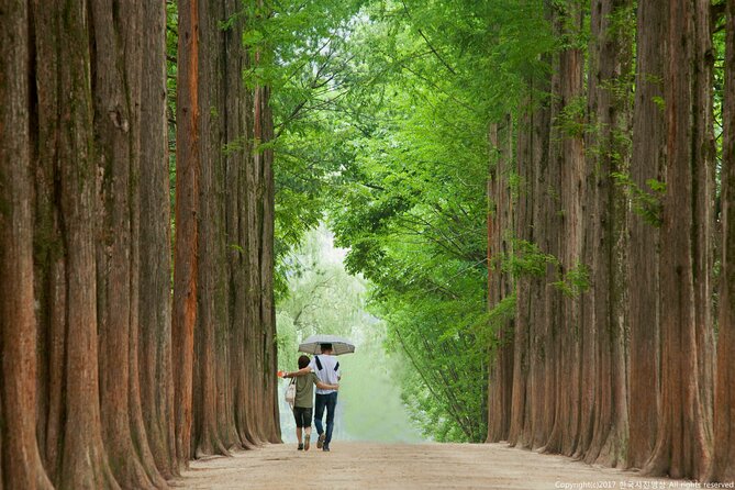 Full Day Private Tour Nami Island, Garden & Petite France - Nami Island: Drama-Scene Strolls and Time to Wander (3.5 Hours)