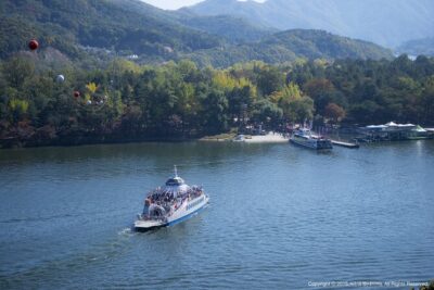 Full Day Private Tour Nami Island, Garden & Petite France - Garden of Morning Calm: A Photo-Forward Garden Start (About 2 Hours)